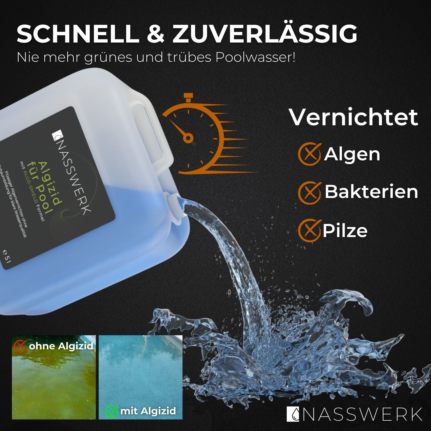 Algizid flüssig blau (10 L = 2x 5 L) Nasswerk